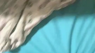 穿孔少女被男友舔和操